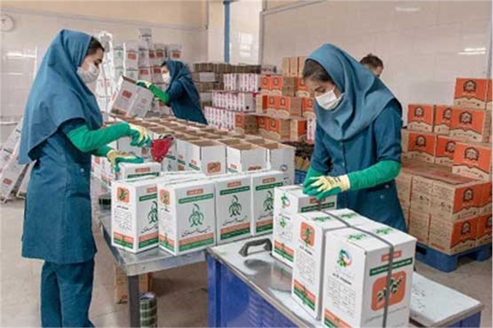 ۱۹۳ مادر باردار تنگستانی سبد غذایی بنیاد علوی دریافت کردند