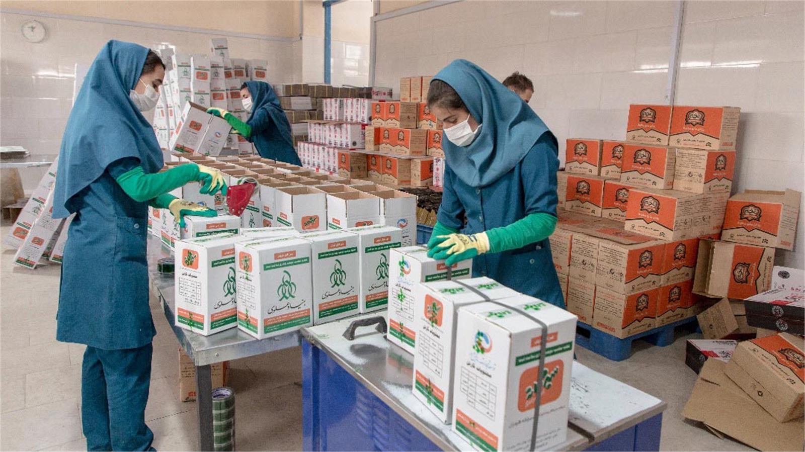 توزیع سبد غذایی مادران باردار بنیاد علوی در روستاهای آبادان
